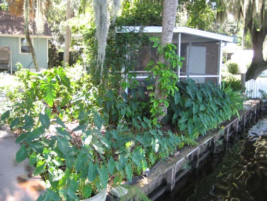 Loon Cottage Screened separate out Room on Lake front