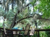 Dine under the trees in fresh air
