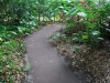 Concrete Pathway