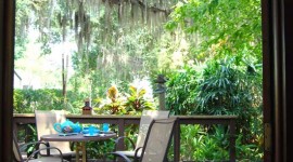 Fresh air dining on front deck off kitchen