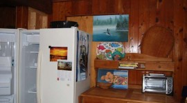 Side by Side Fridge & Teak side board